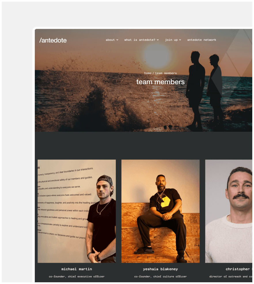 Antedote Lab screenshot 1