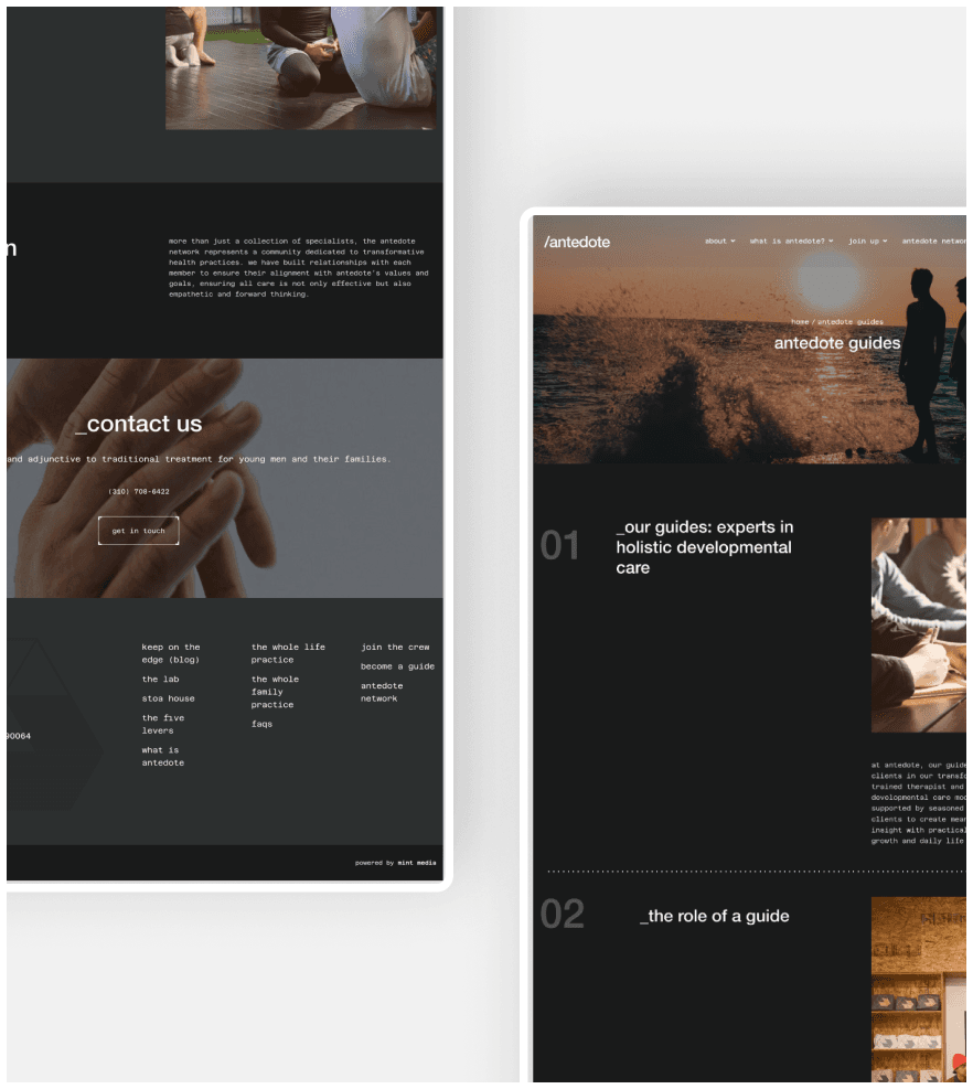 Antedote Lab screenshot 4