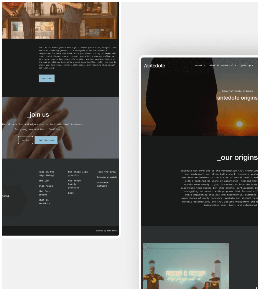 Antedote Lab screenshot 9