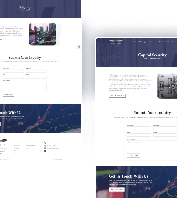 Black Eagle Financial Group screenshot 1