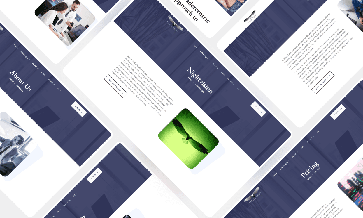 Black Eagle Financial Group screenshot 7
