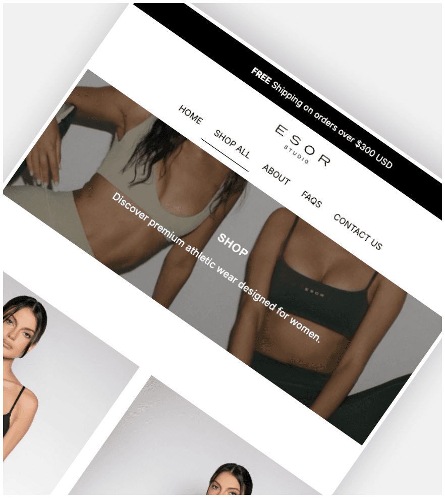ESOR Studio screenshot 2